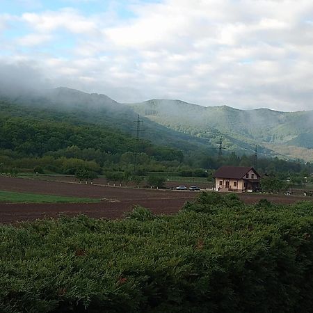 Vila Gosen Sard Εξωτερικό φωτογραφία